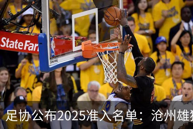 足协公布2025准入名单：沧州雄狮、广州队无缘